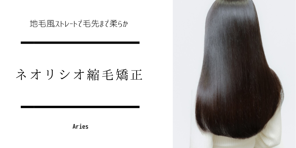 Aries南富山店-縮毛矯正TOP